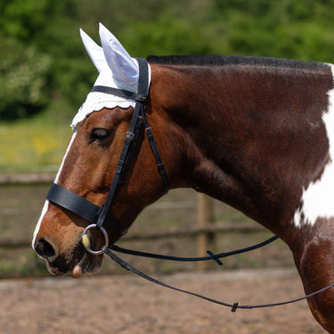 Buy Gallop Classic Fly Veil| Online for Equine