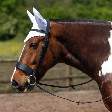 Buy Gallop Classic Fly Veil| Online for Equine