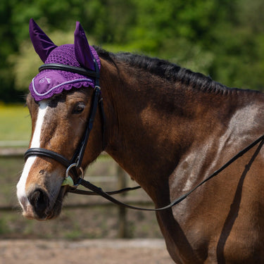 Buy Gallop Classic Fly Veil| Online for Equine