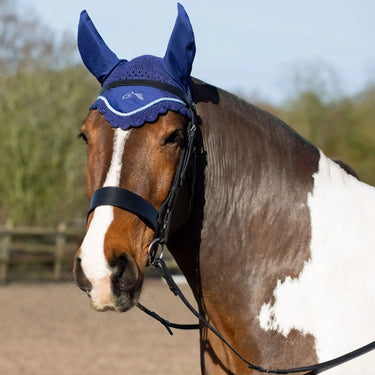 Buy Gallop Classic Fly Veil| Online for Equine