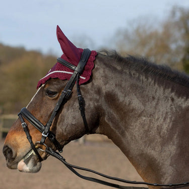 Buy Gallop Classic Fly Veil| Online for Equine