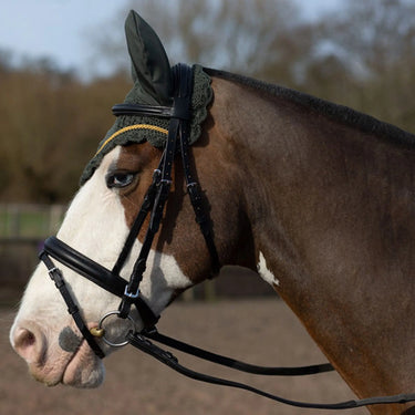 Buy Gallop Classic Fly Veil| Online for Equine