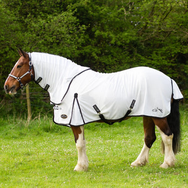 Gallop  Dual 5-Point Fly Rug & Neck Set| Online For Equine