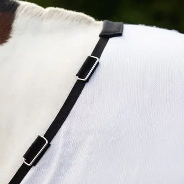Gallop  Dual 5-Point Fly Rug & Neck Set| Online For Equine