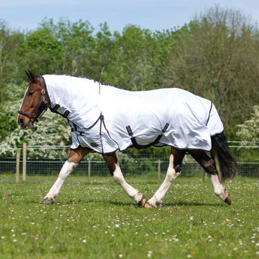 Gallop Essentials Classic Fly Combo Rug| Online For Equine