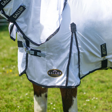 Gallop Essentials Classic Fly Combo Rug| Online For Equine