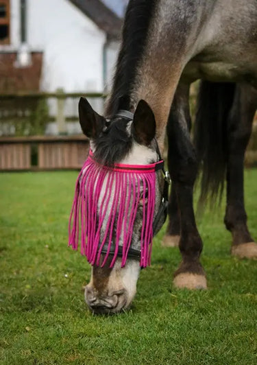 Gallop Fly Fringe| Online For Equine