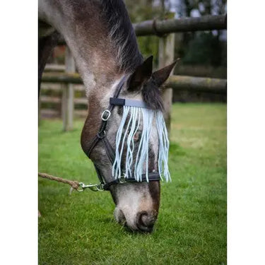 Gallop Fly Fringe| Online For Equine