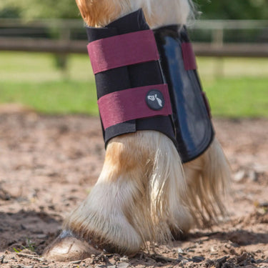 Gallop GP Brushing Boots