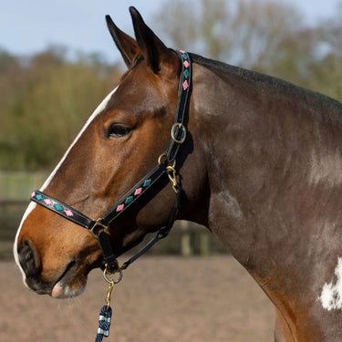 Gallop Gallop Pink/Aqua Diamond Padded Leather Headcollar