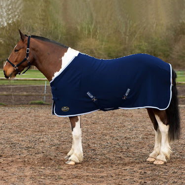 Buy Gallop Navy Blue Jersey Cooler Rug| Online for Equine