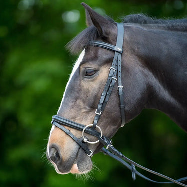 Buy Gallop Padded Bridle + Rubber Reins| Online for Equine
