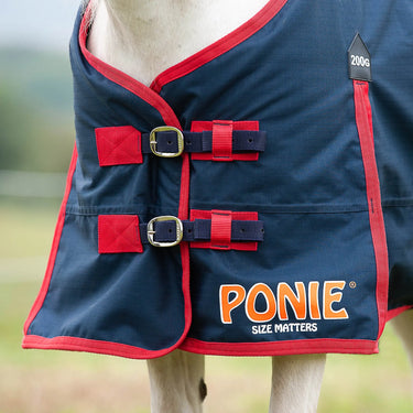 Gallop Ponie 200g Standard Neck Turnout Rug| Online For Equine
