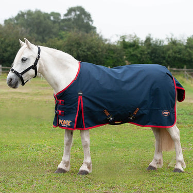 Gallop Ponie 200g Standard Neck Turnout Rug| Online For Equine