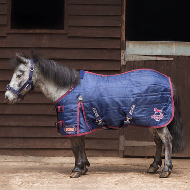 Gallop Ponie 50g Standard Neck Stable Rug| Online For Equine