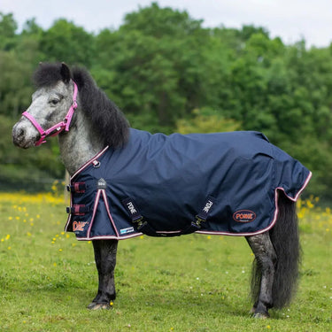 Gallop Ponie Duraproof 50G Turnout Rug| Online For Equine