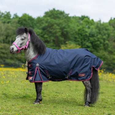 Buy Gallop Ponie Standard Neck 50g Turnout Rug| Online for Equine