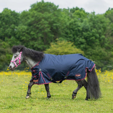 Buy Gallop Ponie Standard Neck 50g Turnout Rug| Online for Equine