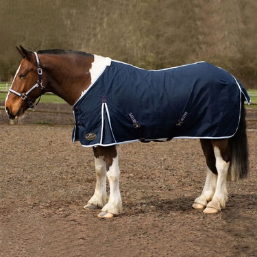 Gallop Summer Sheet| Online For Equine