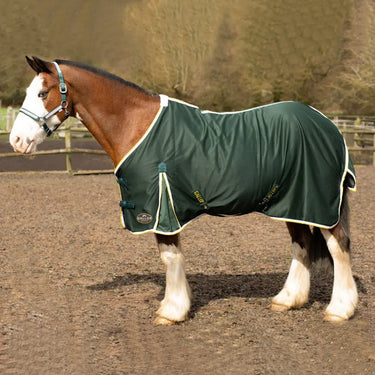Gallop Summer Sheet| Online For Equine