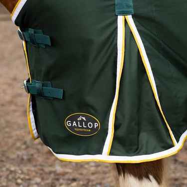 Gallop Summer Sheet| Online For Equine