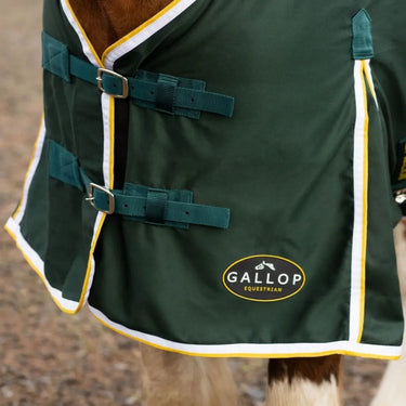 Gallop Summer Sheet| Online For Equine