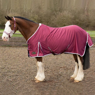 Gallop Summer Sheet| Online For Equine