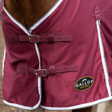 Gallop Summer Sheet| Online For Equine