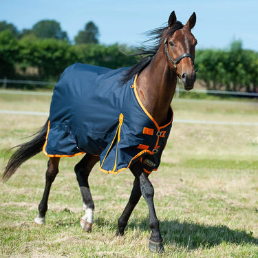Buy Gallop Trojan 100g Standard Neck Turnout Rug| Online for Equine