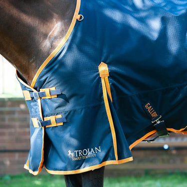 Buy Gallop Trojan 100g Standard Neck Turnout Rug| Online for Equine