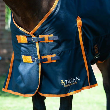 Buy Gallop Trojan 100g Standard Neck Turnout Rug| Online for Equine
