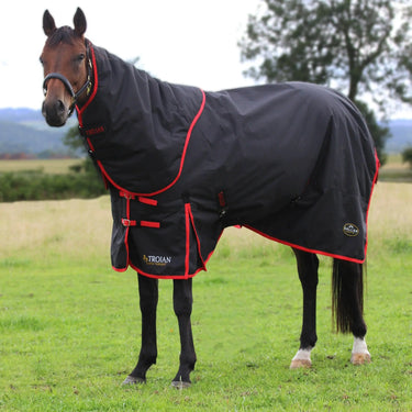 Buy Gallop Trojan 200g Dual Turnout Rug & Neck Set| Online for Equine