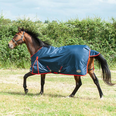 Gallop Trojan 200g Standard Neck Turnout Rug| Online For Equine