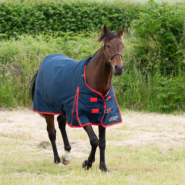 Gallop Trojan 200g Standard Neck Turnout Rug| Online For Equine