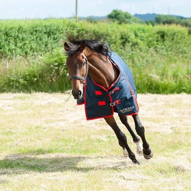 Gallop Trojan 200g Standard Neck Turnout Rug| Online For Equine