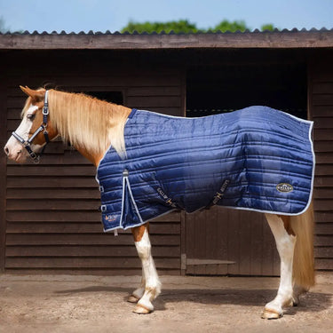 Gallop Trojan 300g Stable Rug| Online For Equine