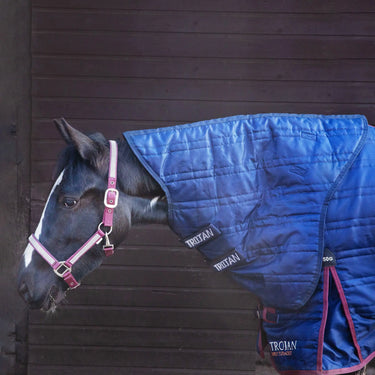 Gallop Trojan 50g Stable Neck Cover| Online For Equine