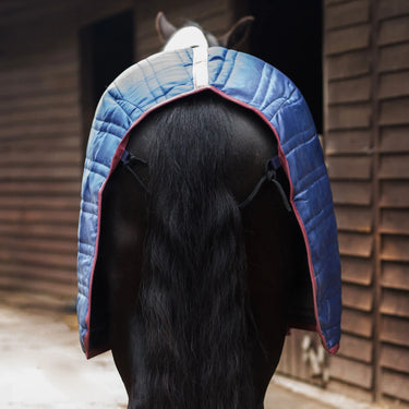 Gallop Trojan 50g Standard Neck Stable Rug| Online For Equine