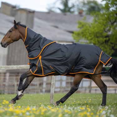 Gallop Trojan Dual 100g Turnout Rug & Neck Set - 7'0"| Online For Equine