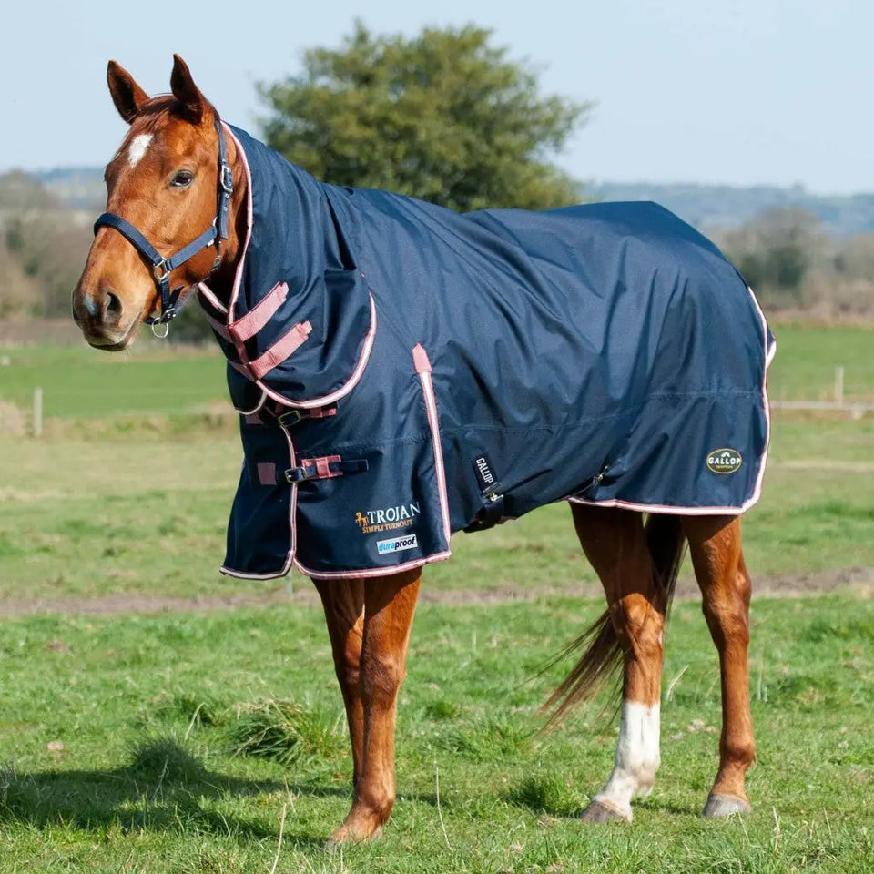 Gallop Rugs for Horses, Trojan Xtra Turnouts & Stable | Online for ...
