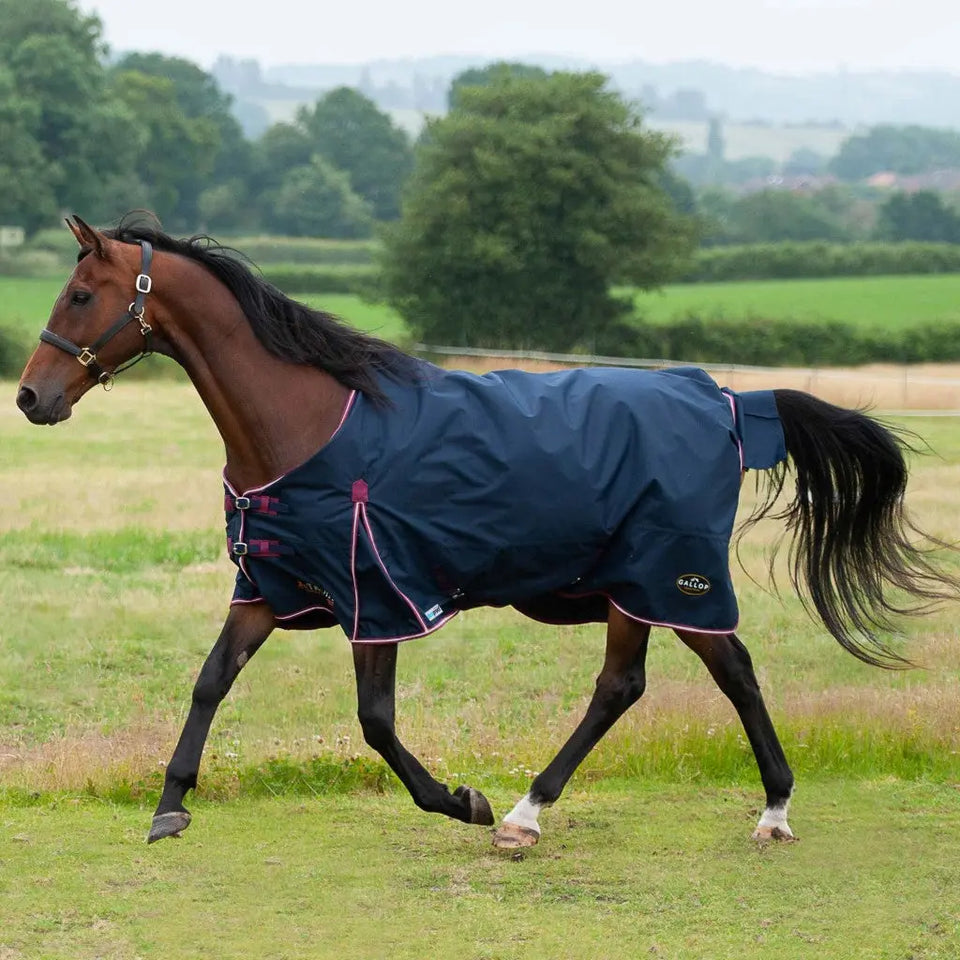 Gallop Rugs for Horses, Trojan Xtra Turnouts & Stable | Online for ...