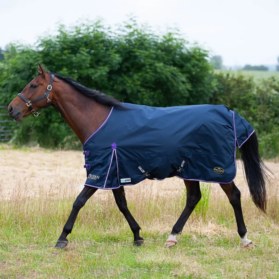 Gallop Rugs for Horses, Trojan Xtra Turnouts & Stable | Online for ...