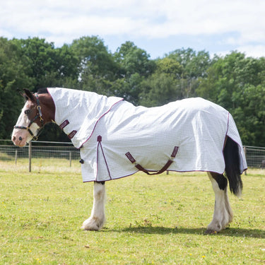 Gallop Trojan Hydropel Water Resistant Cotton Sheet & Neck Set