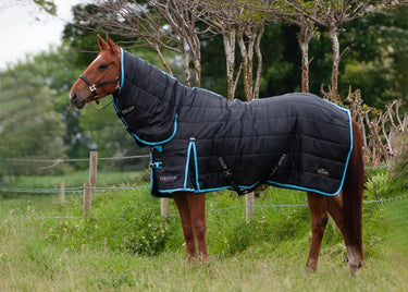 Gallop Trojan Maverick 300g Stable Rug Combo| Online For Equine