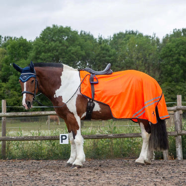 Gallop Trojan Retro Reflective Mesh Exercise Sheet