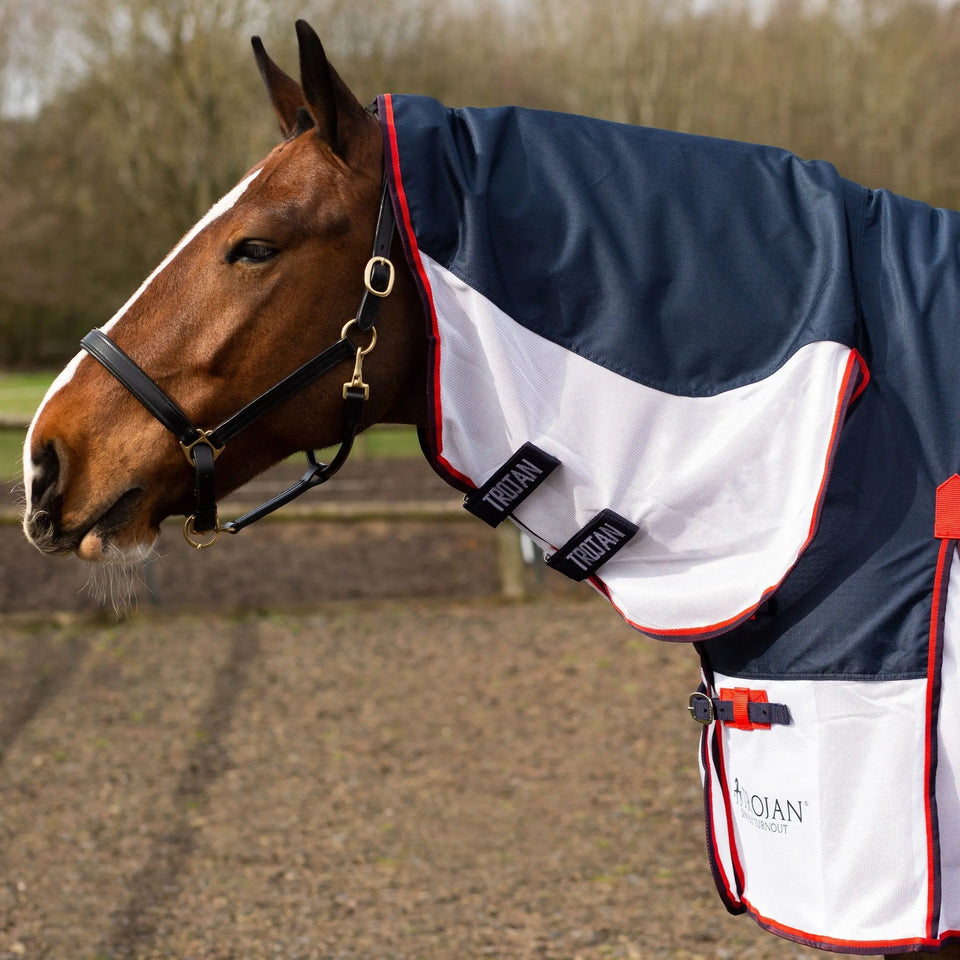 Gallop Rugs for Horses, Trojan Xtra Turnouts & Stable | Online for ...