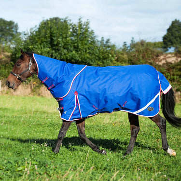 Buy Gallop Trojan X 200g Dual Turnout Rug & Neck Set| Online for Equine