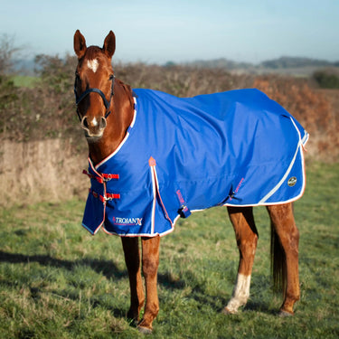 Buy Gallop Trojan X 200g Dual Turnout Rug & Neck Set| Online for Equine