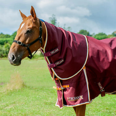 Gallop Trojan Xtra 100g Neck Cover| Online For Equine