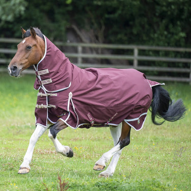 Buy Gallop Trojan Xtra 100g Turnout Rug Combo| Online for Equine